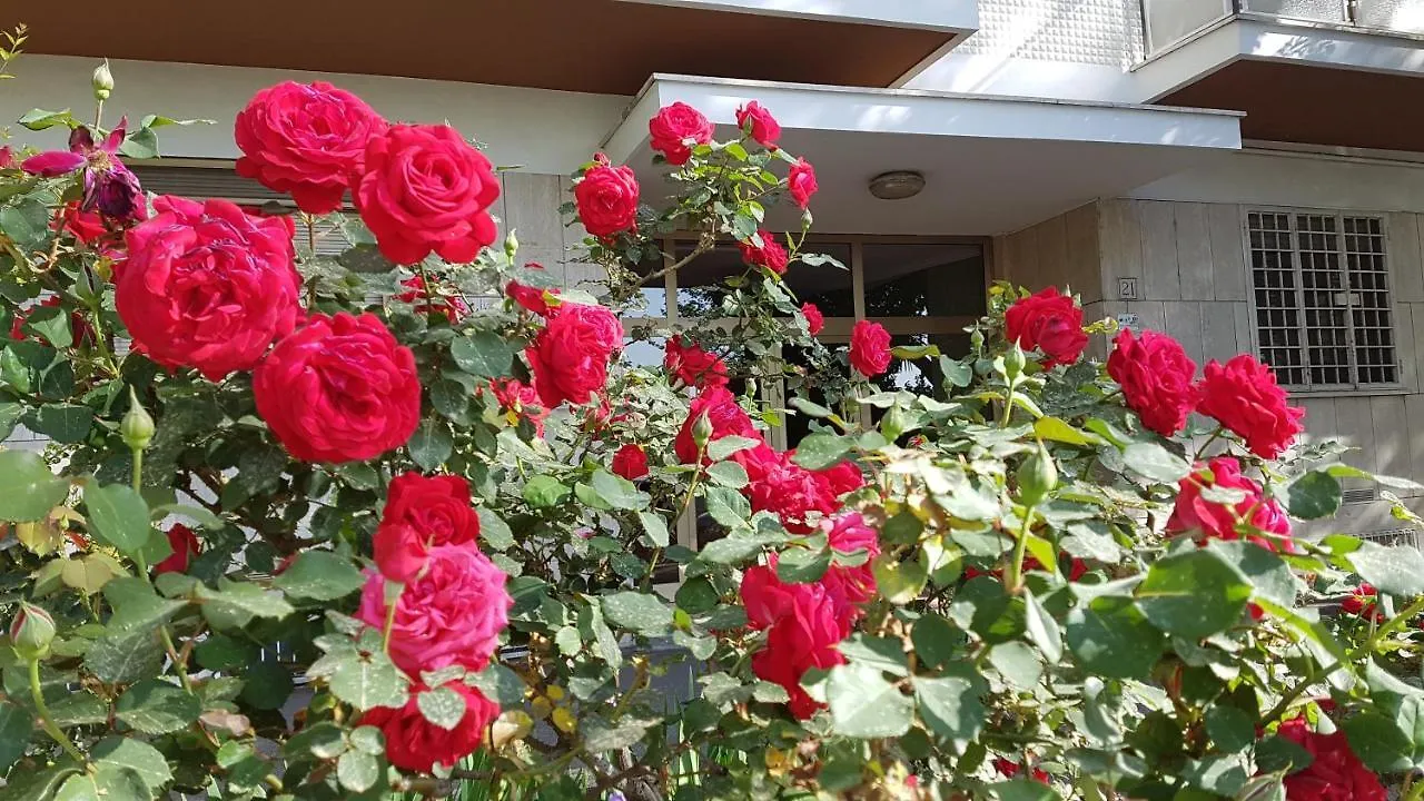 Apartament Petrapapae Rzym